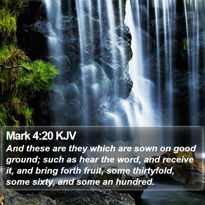 Mark 4:20 KJV Bible Study