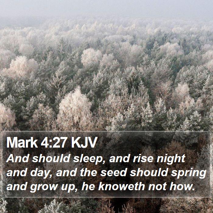 Mark 4:27 KJV Bible Study