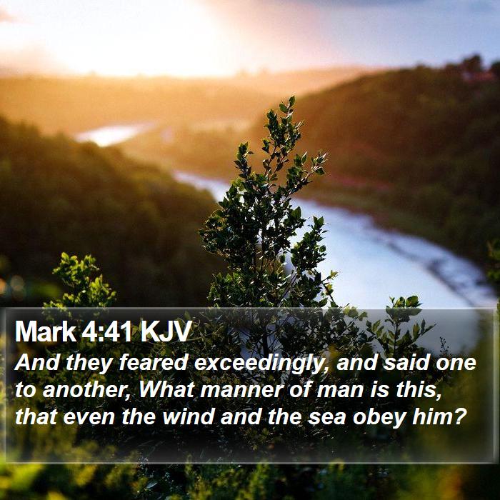 Mark 4:41 KJV Bible Study