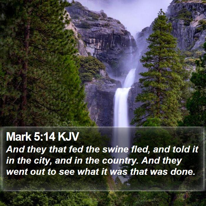 Mark 5:14 KJV Bible Study