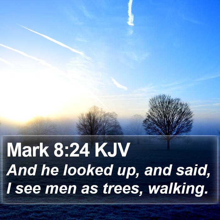 Mark 8:24 KJV Bible Study