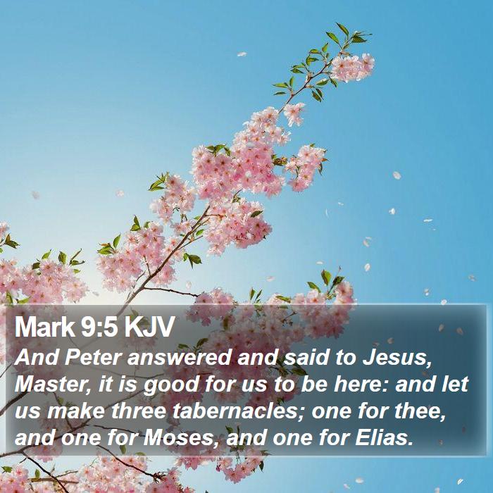 Mark 9:5 KJV Bible Study