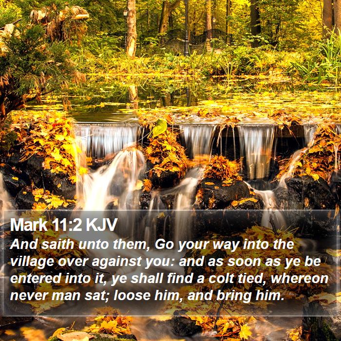 Mark 11:2 KJV Bible Study