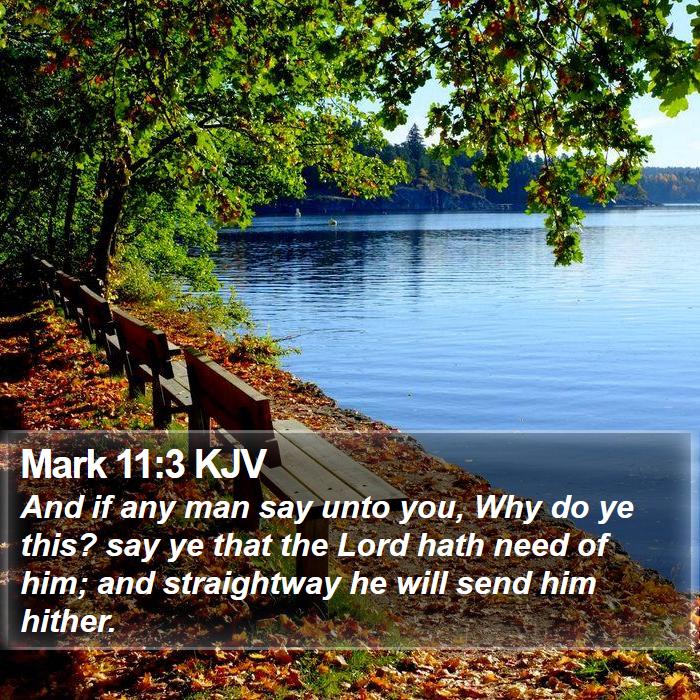 Mark 11:3 KJV Bible Study