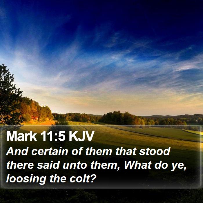 Mark 11:5 KJV Bible Study