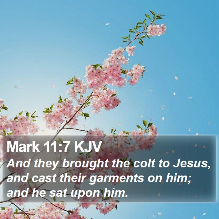 Mark 11:7 KJV Bible Study