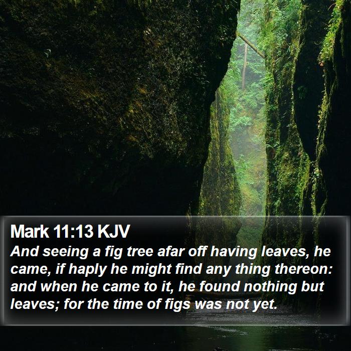 Mark 11:13 KJV Bible Study