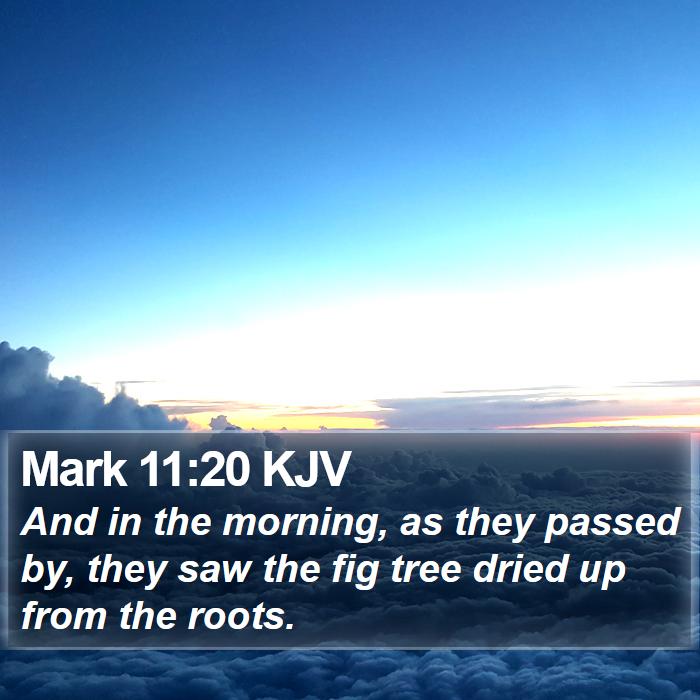 Mark 11:20 KJV Bible Study