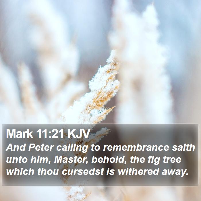 Mark 11:21 KJV Bible Study