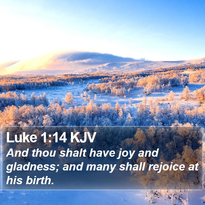 Luke 1:14 KJV Bible Study