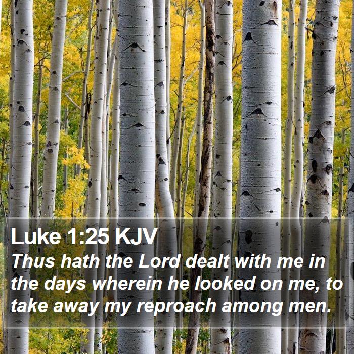 Luke 1:25 KJV Bible Study