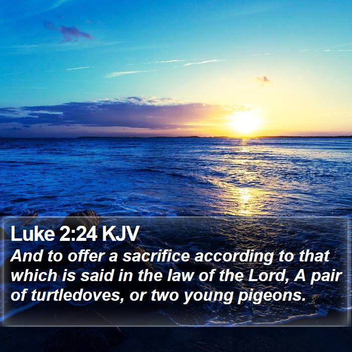 Luke 2:24 KJV Bible Study