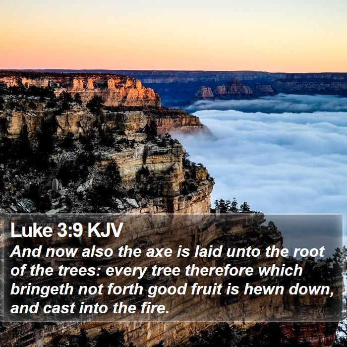 Luke 3:9 KJV Bible Study