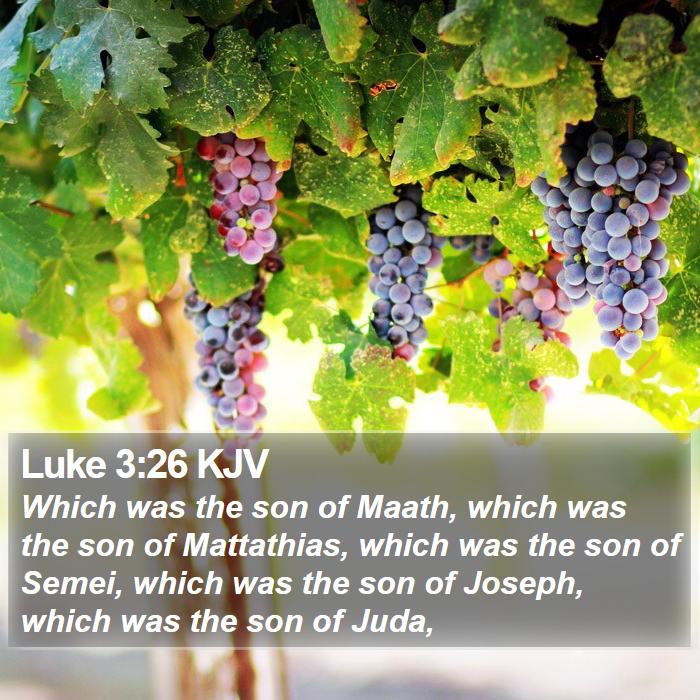 Luke 3:26 KJV Bible Study