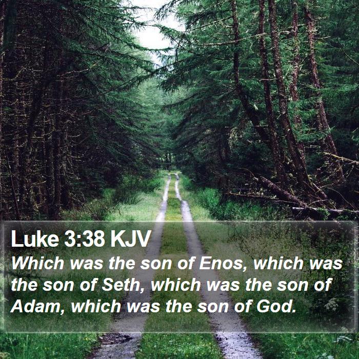 Luke 3:38 KJV Bible Study