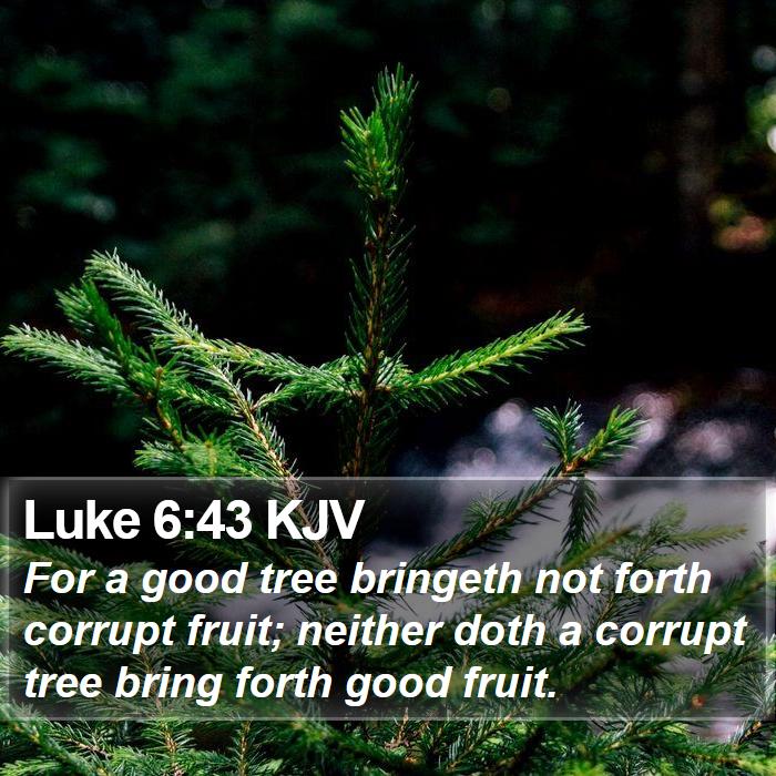 Luke 6:43 KJV Bible Study