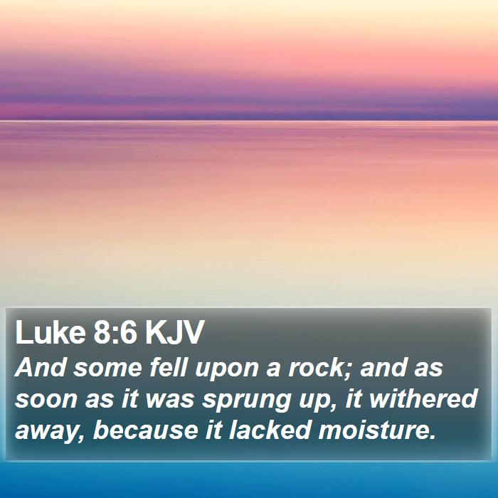 Luke 8:6 KJV Bible Study