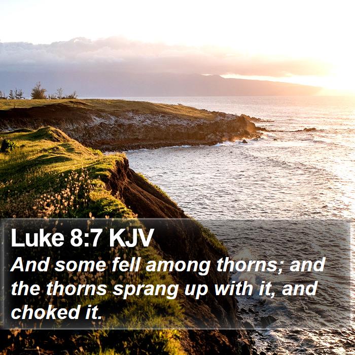 Luke 8:7 KJV Bible Study