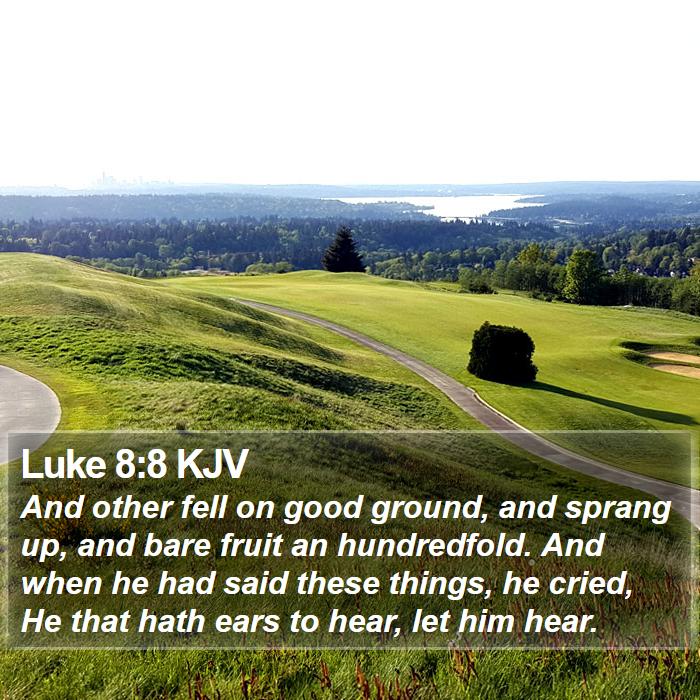 Luke 8:8 KJV Bible Study