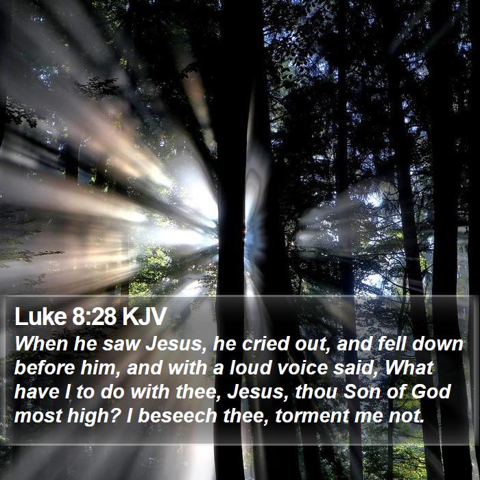 Luke 8:28 KJV Bible Study