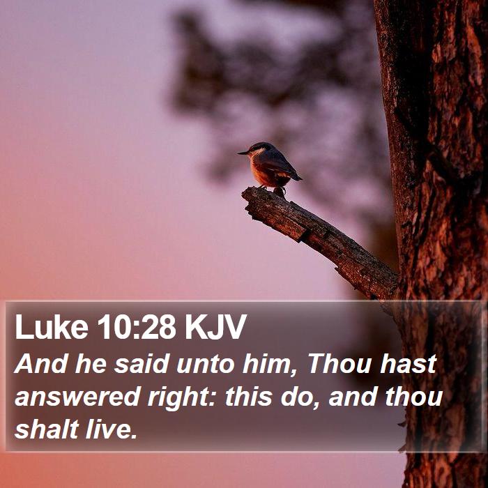 Luke 10:28 KJV Bible Study