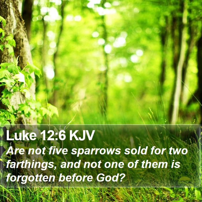 Luke 12:6 KJV Bible Study