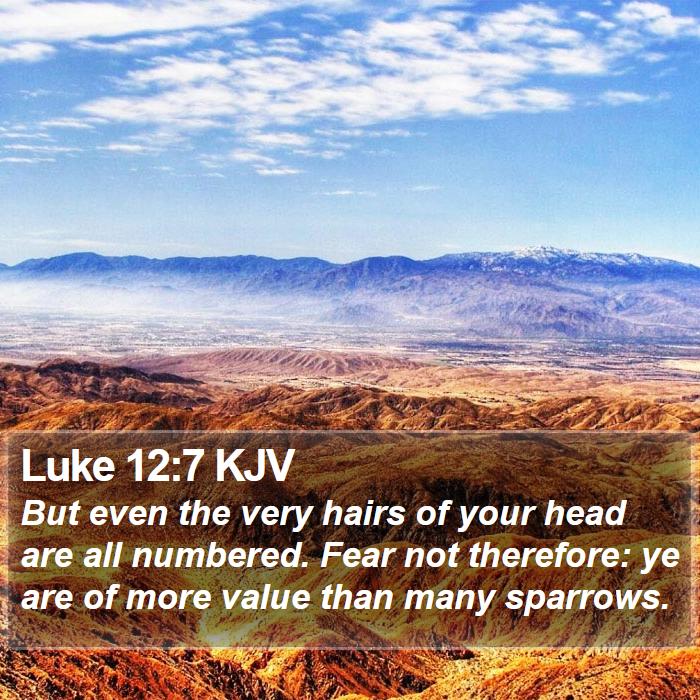 Luke 12:7 KJV Bible Study