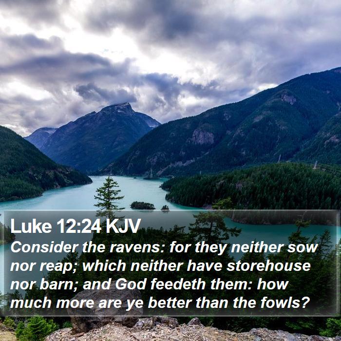 Luke 12:24 KJV Bible Study