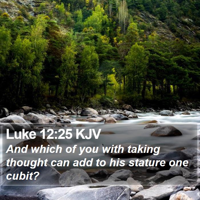 Luke 12:25 KJV Bible Study