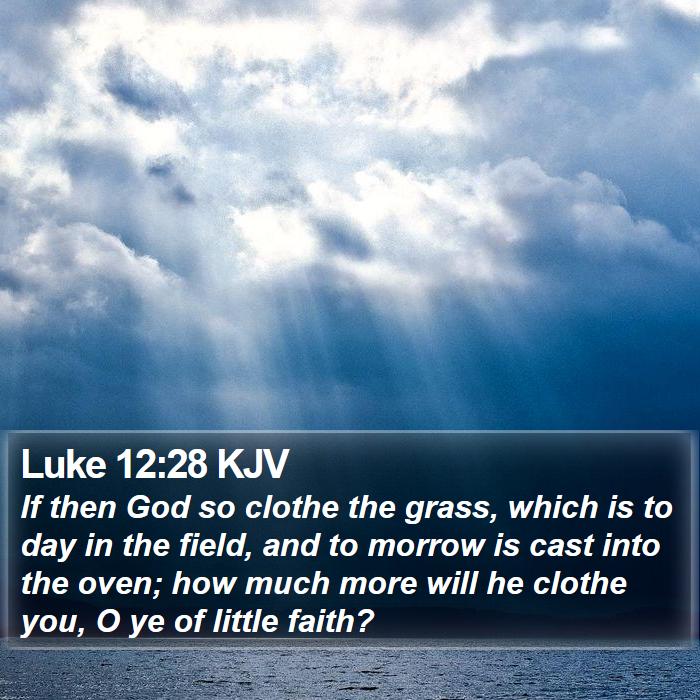 Luke 12:28 KJV Bible Study