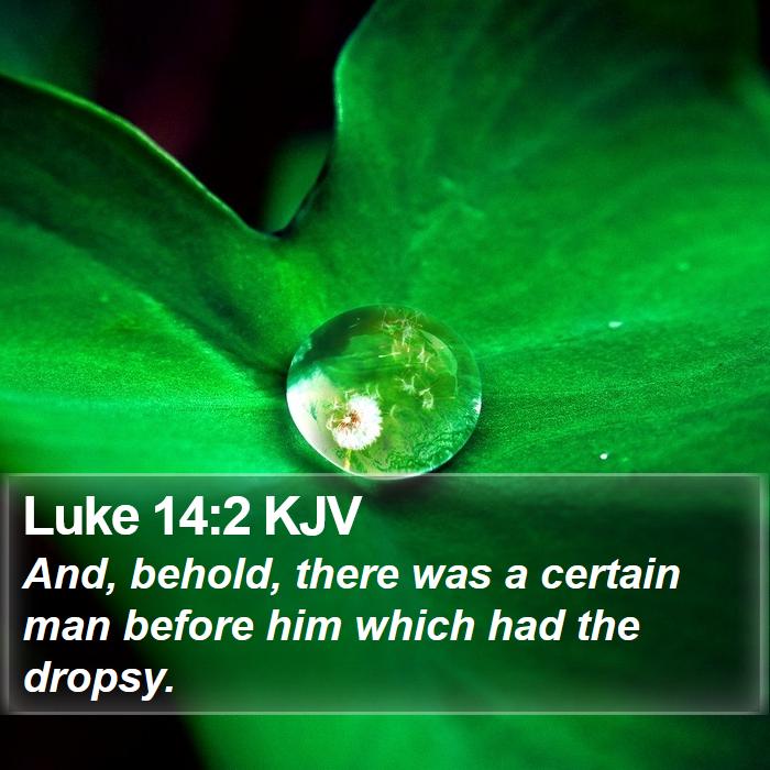 Luke 14:2 KJV Bible Study