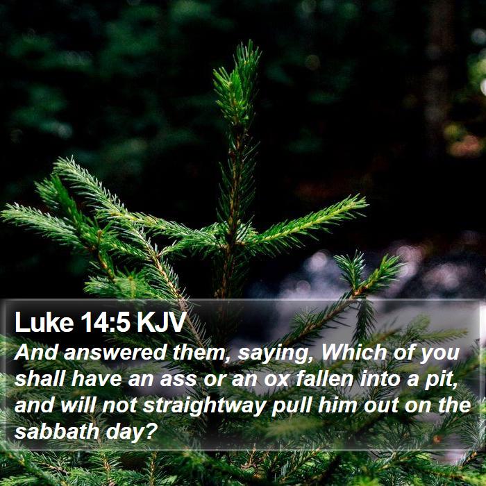 Luke 14:5 KJV Bible Study