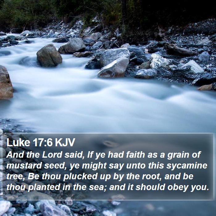 Luke 17:6 KJV Bible Study