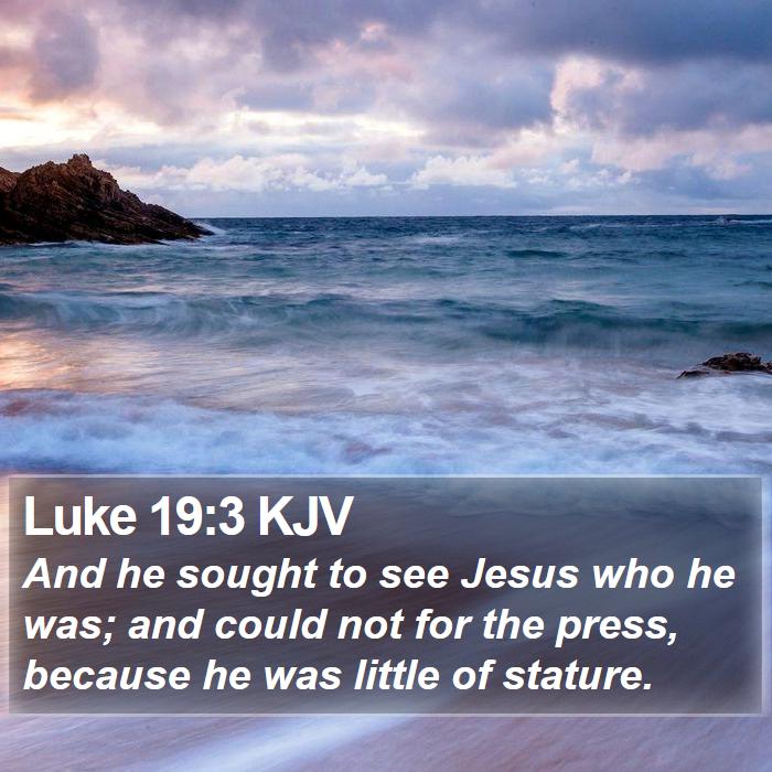 Luke 19:3 KJV Bible Study