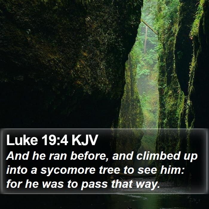 Luke 19:4 KJV Bible Study