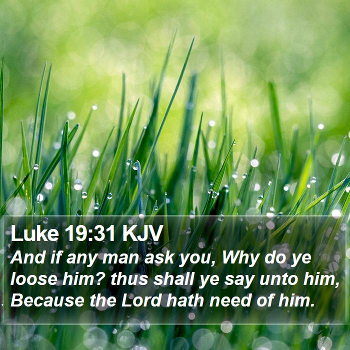 Luke 19:31 KJV Bible Study