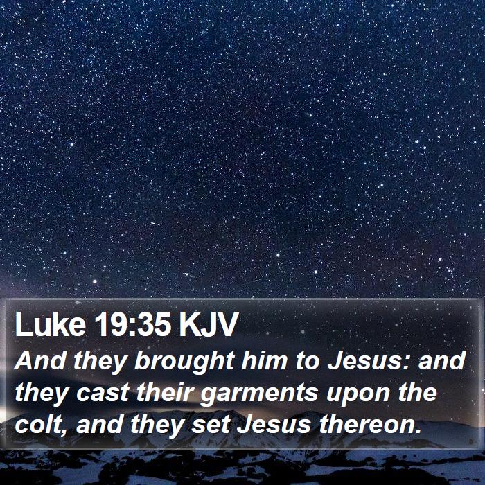 Luke 19:35 KJV Bible Study