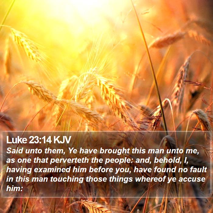 Luke 23:14 KJV Bible Study