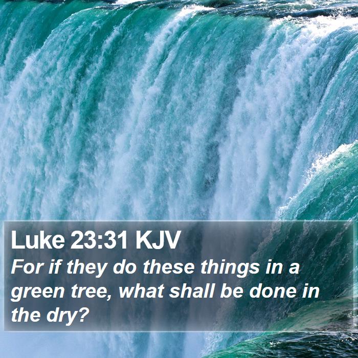 Luke 23:31 KJV Bible Study