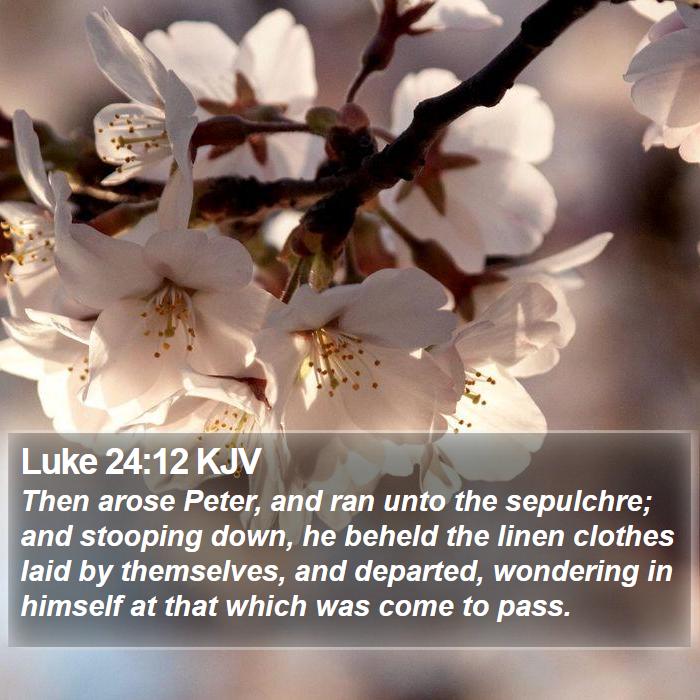 Luke 24:12 KJV Bible Study