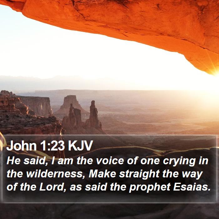 John 1:23 KJV Bible Study