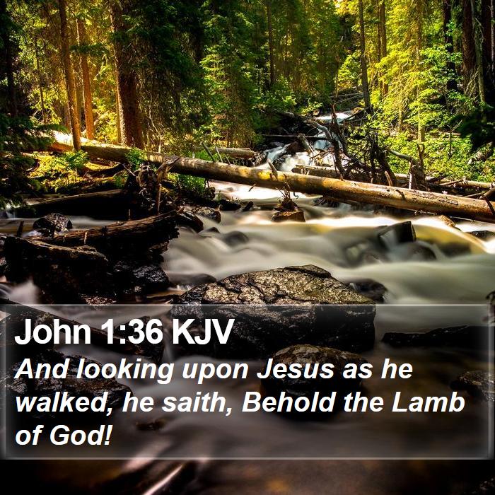 John 1:36 KJV Bible Study