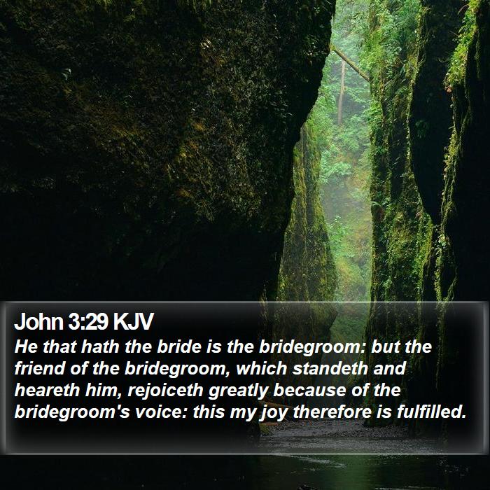 John 3:29 KJV Bible Study