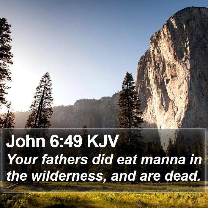 John 6:49 KJV Bible Study