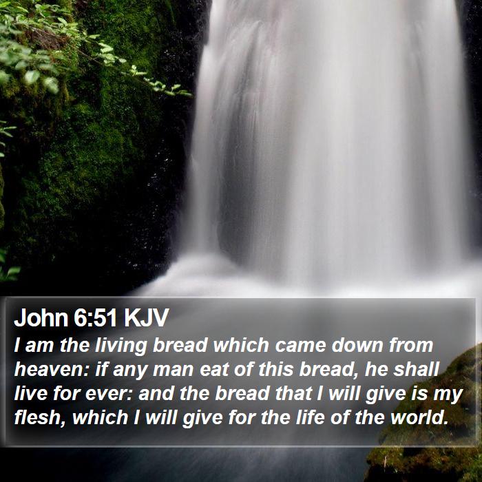 John 6:51 KJV Bible Study