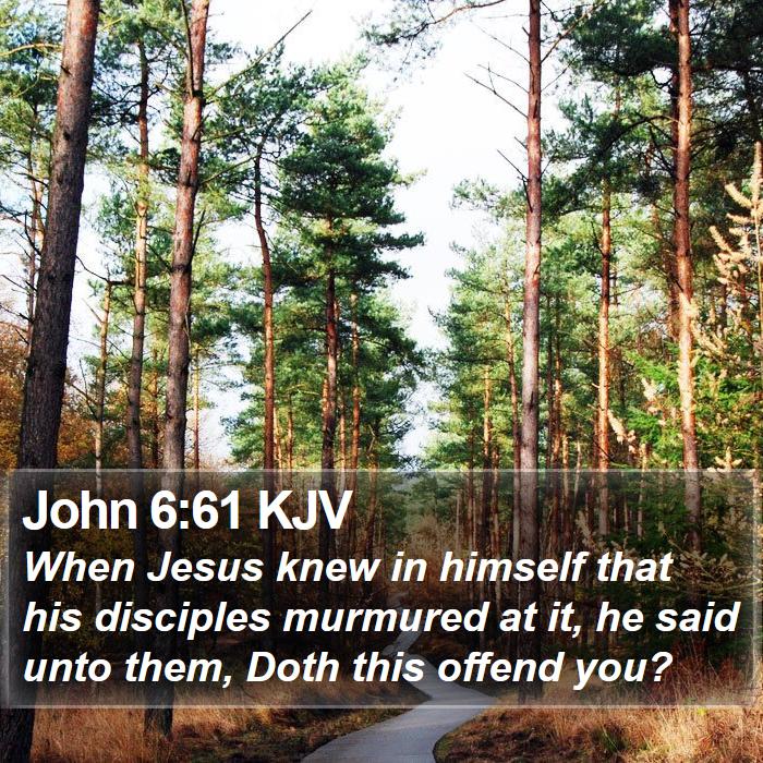 John 6:61 KJV Bible Study