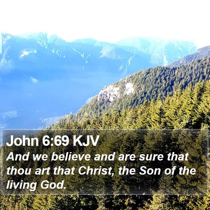 John 6:69 KJV Bible Study