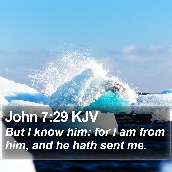 John 7:29 KJV Bible Study