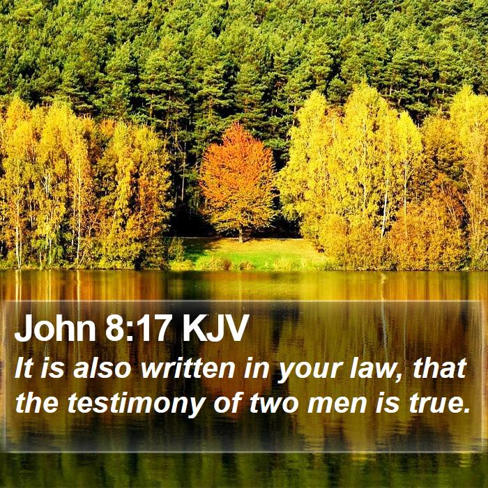 John 8:17 KJV Bible Study