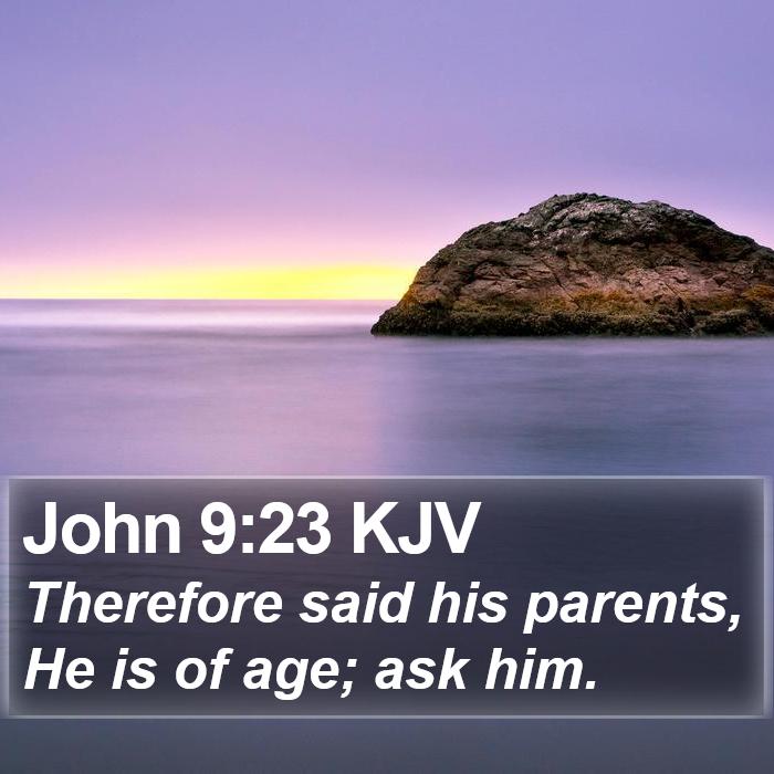 John 9:23 KJV Bible Study